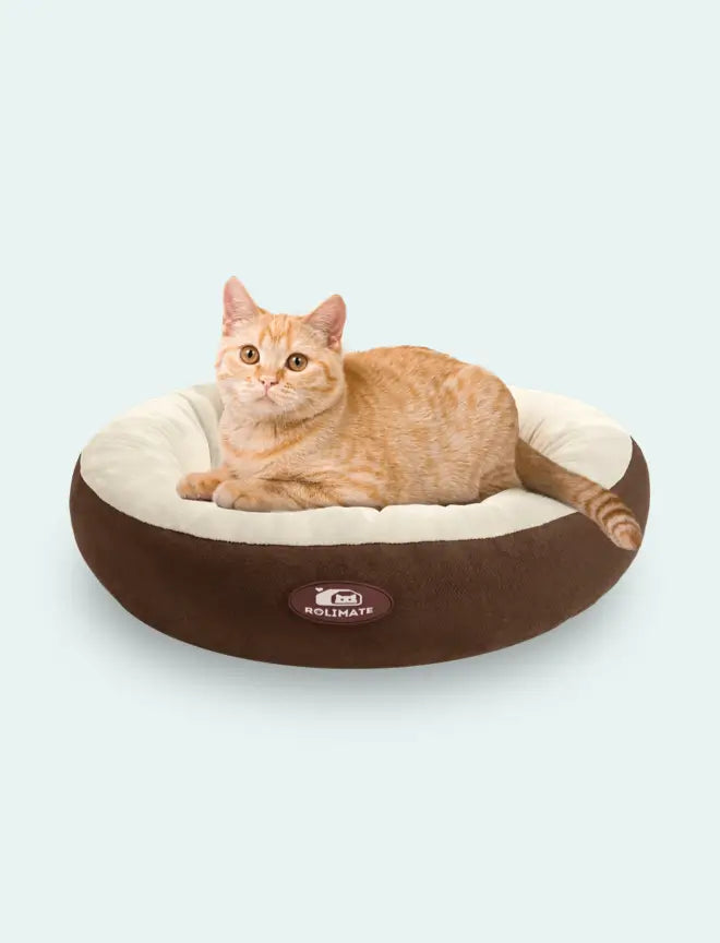 Pet Bed