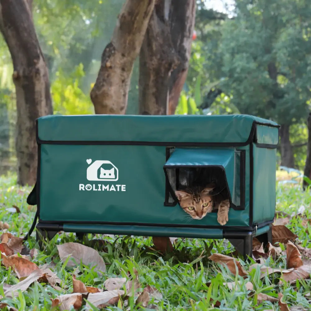 Outdoor Resting Spot