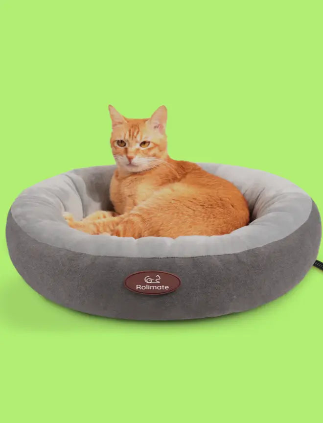 Pet Bed