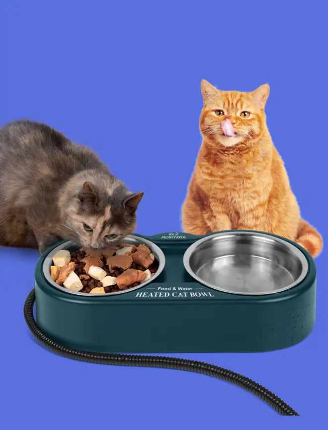 Rolimate dual stainless steel heated cat bowl for food and water, keeping meals warm and fresh.