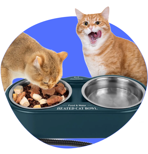 Rolimate dual stainless steel heated cat bowl for food and water, keeping meals warm and fresh.