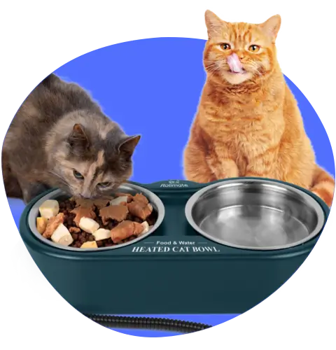 Rolimate dual stainless steel heated cat bowl for food and water, keeping meals warm and fresh.