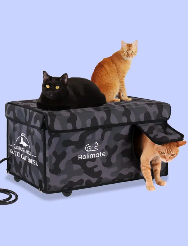 Outdoor heated cat house with two doors for easy entry and exit.