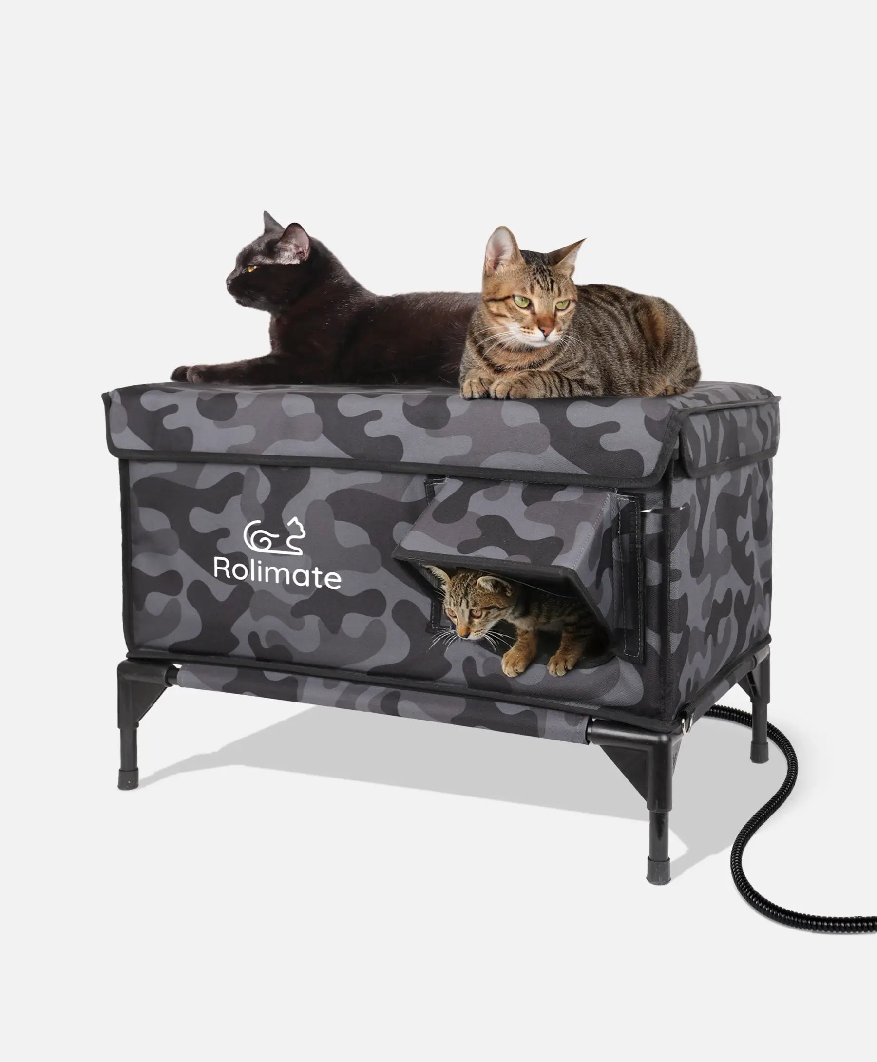 Rolimate camouflage heated cat shelter with two cats lounging and staying warm.