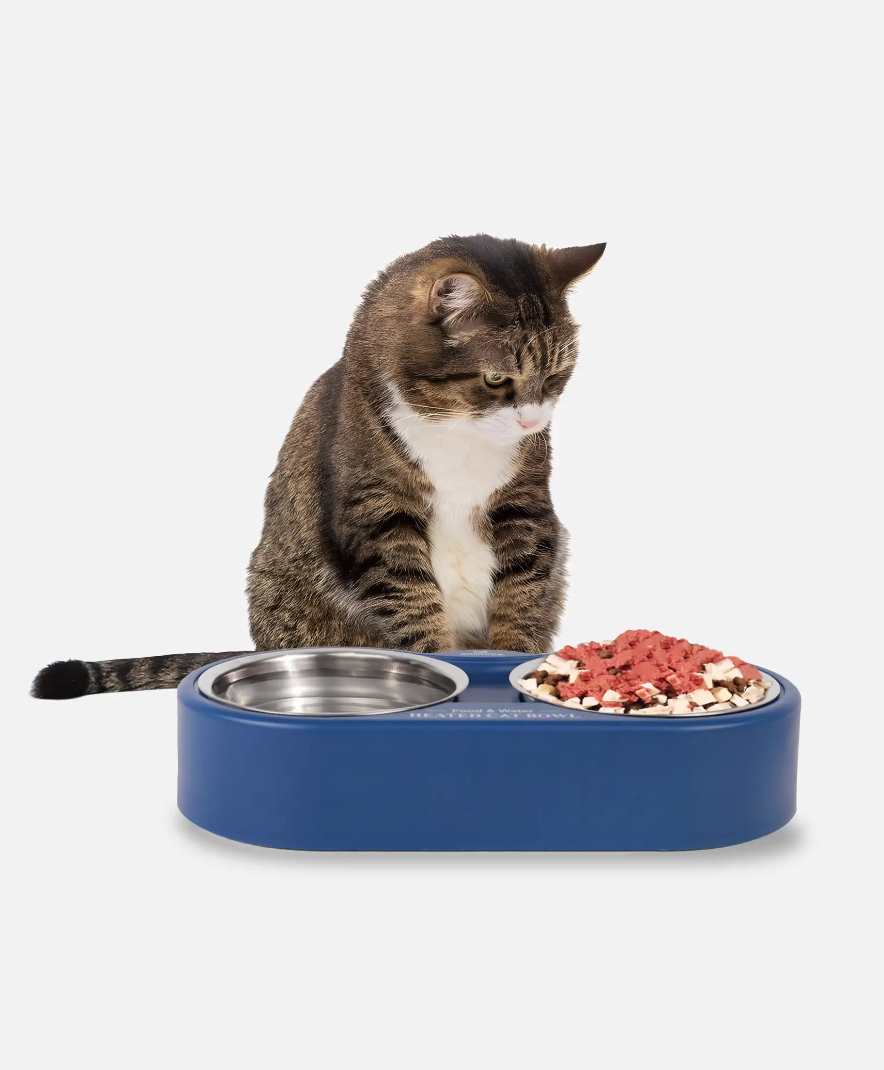 Rolimate dual stainless steel heated cat bowl for food and water, keeping meals warm and fresh.